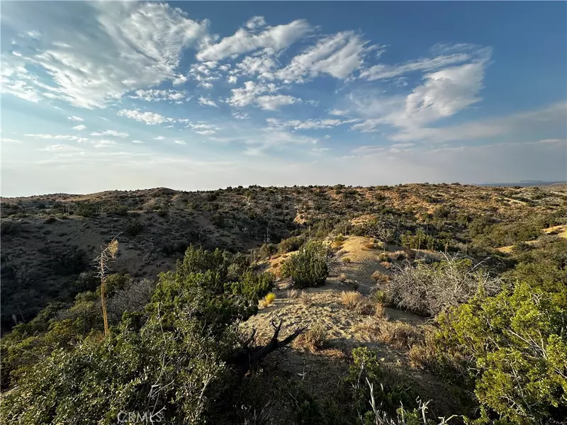 2 Ross Rd, Juniper Hills, CA 93543