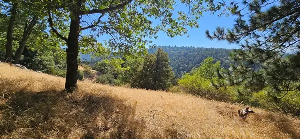 Crestline, CA 92325,0 Edelweiss DR