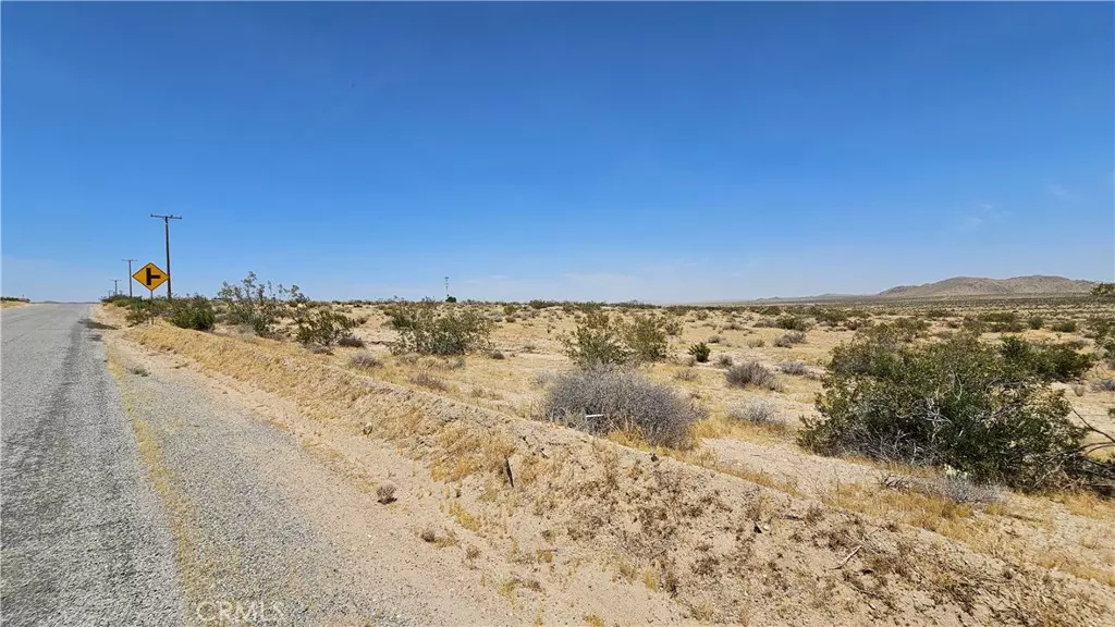 Helendale, CA 92342,1 Buckhorn Trail