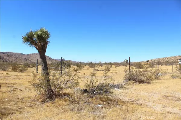 Lucerne Valley, CA 92356,111 Near Chicago RD