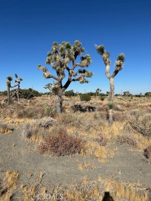 0 Beekley RD,  Pinon Hills,  CA 92372
