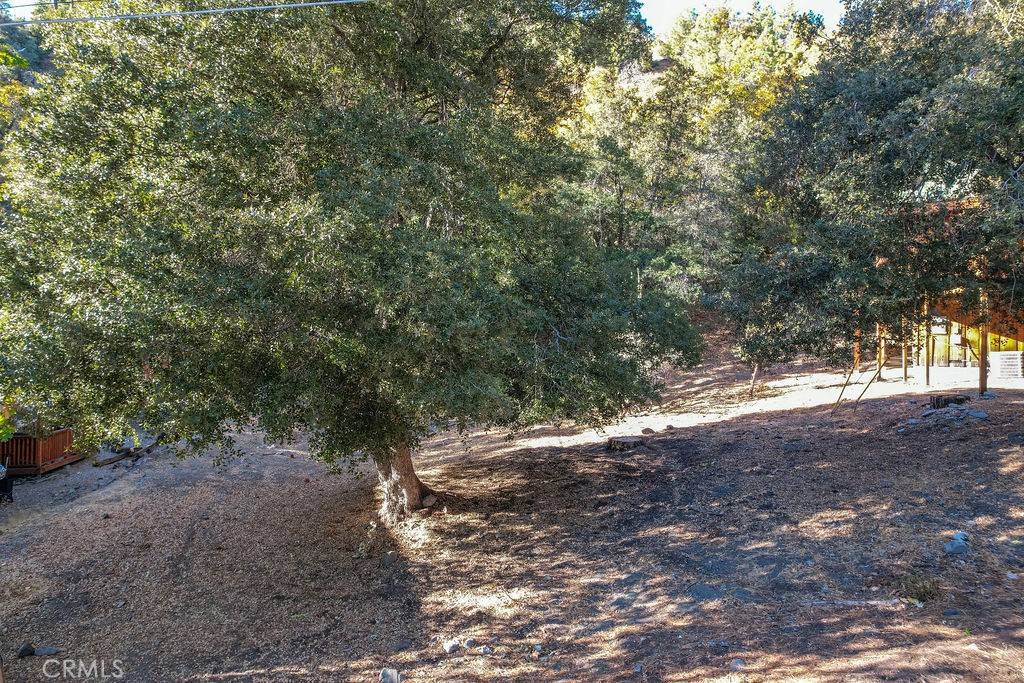 Wrightwood, CA 92397,1127 Twin Lakes DR