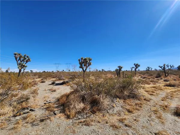 Pinon Hills, CA 92372,0 Colorado RD