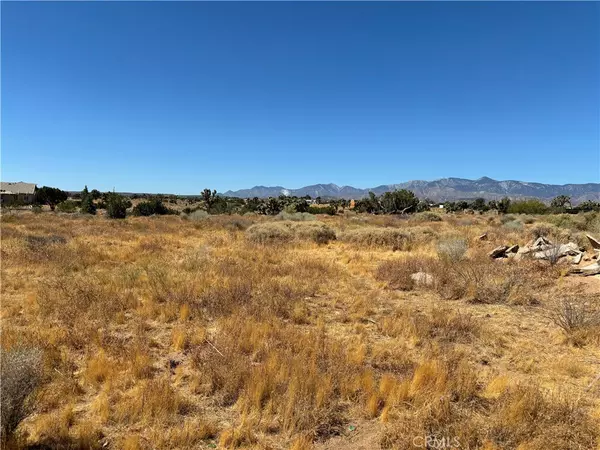 Phelan, CA 92371,0 Vinton RD