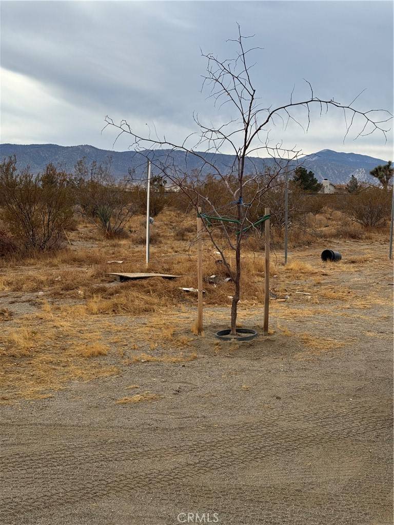 Phelan, CA 92371,3185 Olivera RD