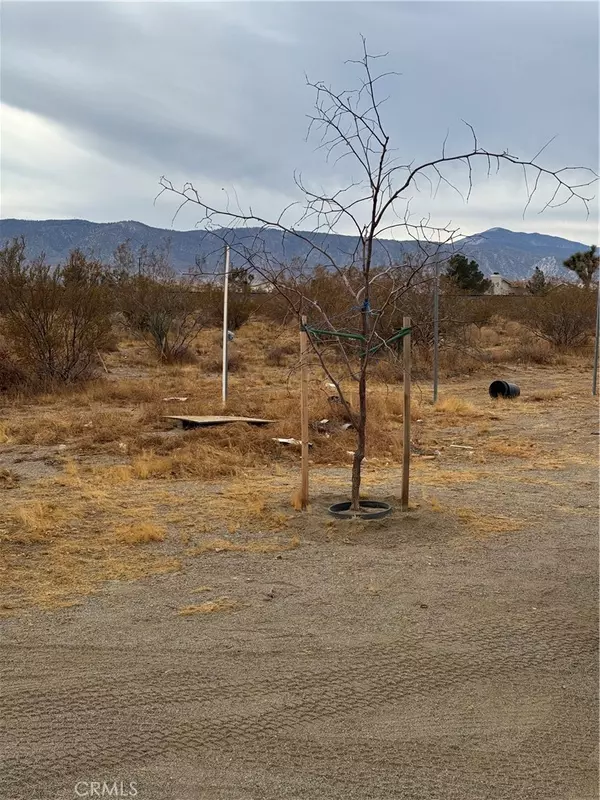 Phelan, CA 92371,3185 Olivera RD