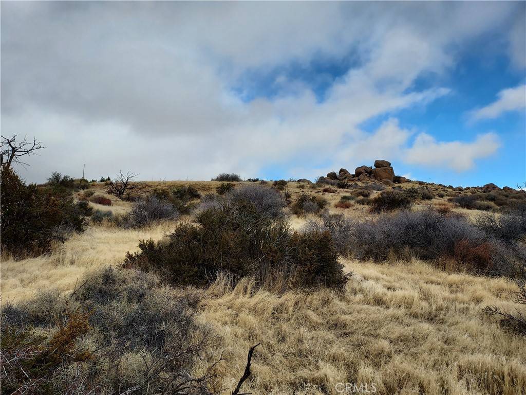 Apple Valley, CA 92308,0 Cascade TRL