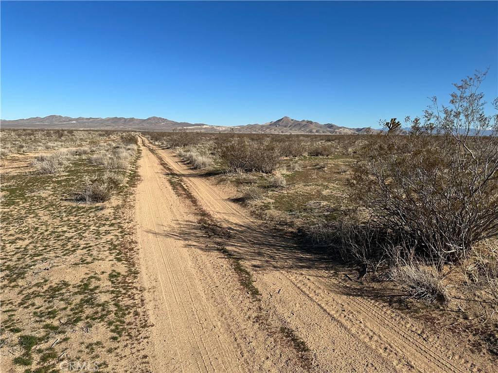 Victorville, CA 92394,8 Desert Flower RD