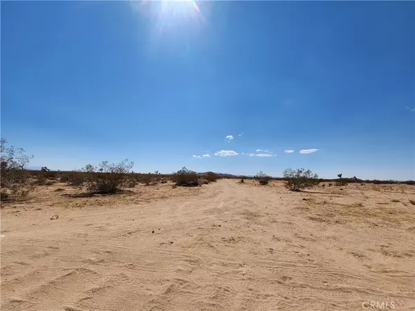 Joshua Tree, CA 92252,2020 Sunset RD