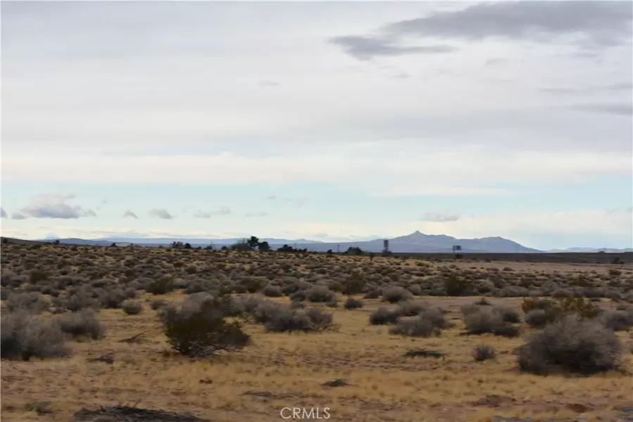 0 APN  0420-261-72-0000, Helendale, CA 92342