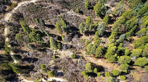 0 A Lane Cedar Glen, CA 92321