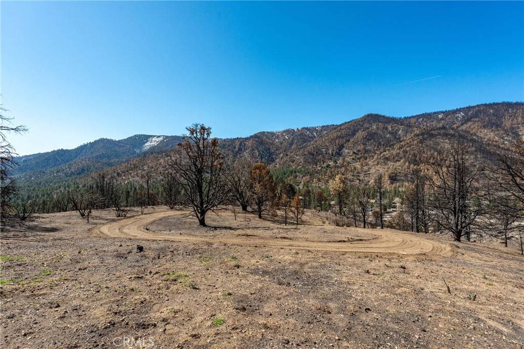 Wrightwood, CA 92397,0 North Cardinal Rd