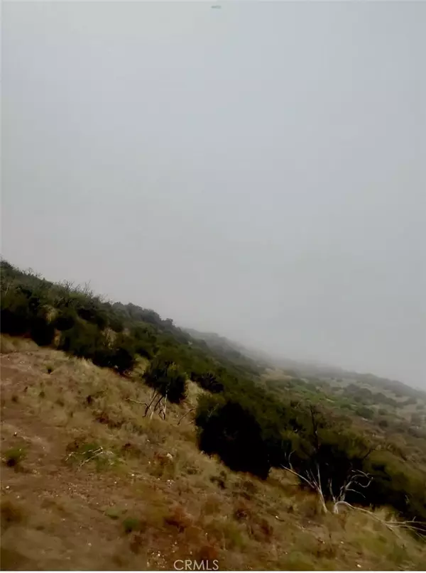 Phelan, CA 92344,6920 Baldy Mesa RD