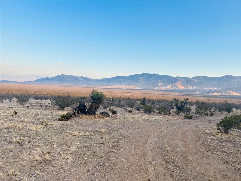 Lucerne Valley, CA 92356,0 Lucerne Valley Cut Off