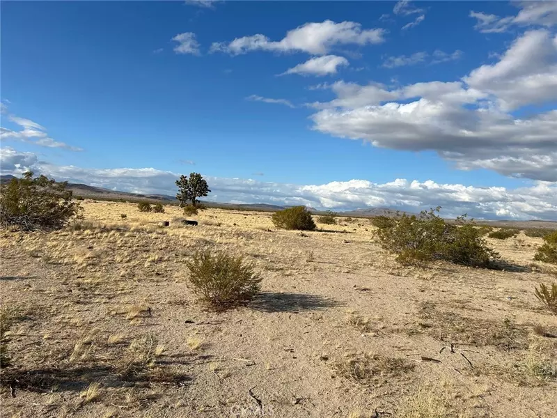 0 Lucerne Valley Cut Off, Lucerne Valley, CA 92356