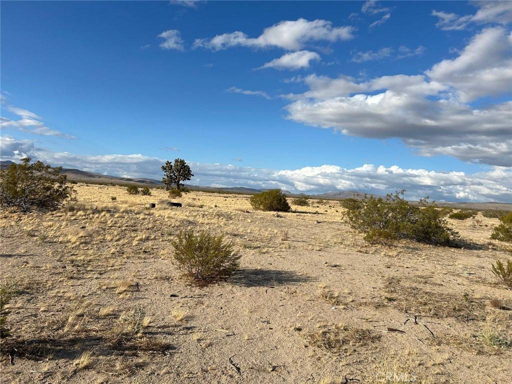0 Lucerne Valley Cut Off, Lucerne Valley, CA 92356