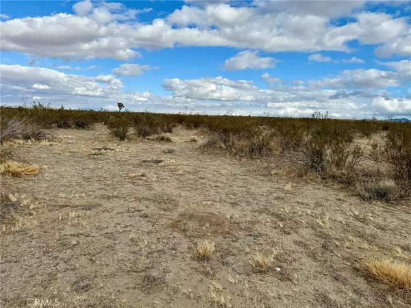 31005410 4 Dos Palmas AVE, Pinon Hills, CA 92372
