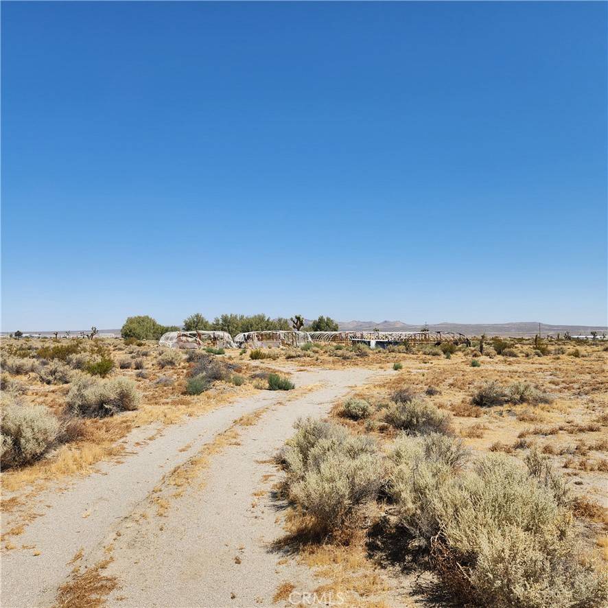 El Mirage, CA 92301,202 Shelly RD
