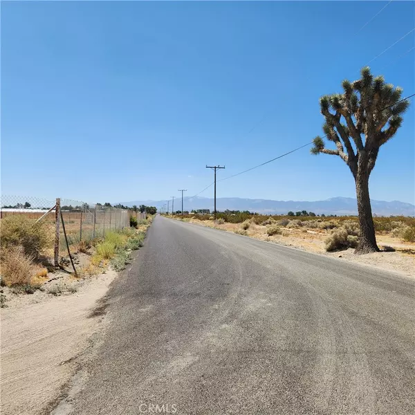 El Mirage, CA 92301,202 Shelly RD