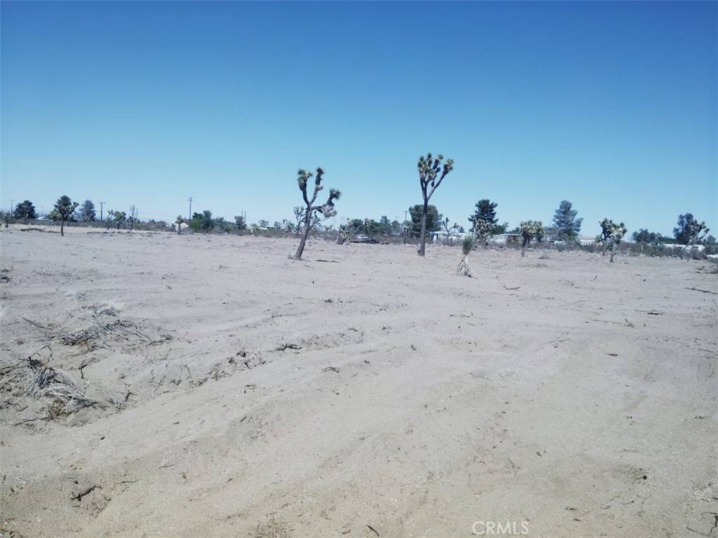 Pinon Hills, CA 92372,0 Pionero RD