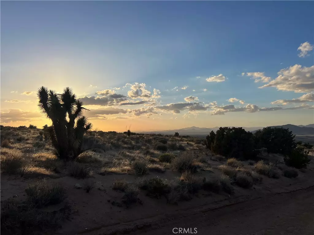 Apple Valley, CA 92308,3 Ocotillo