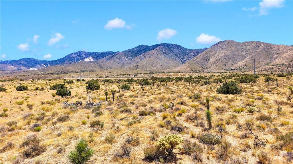 Lucerne Valley, CA 92356,0 Near Powerline Rd