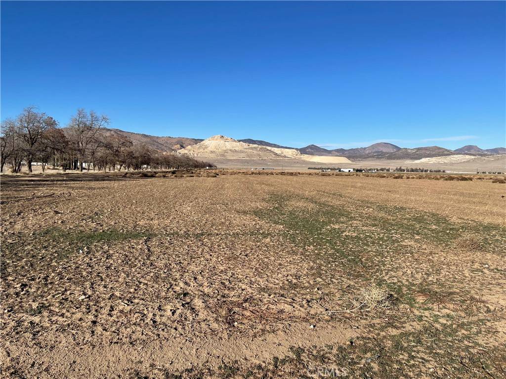 20028 Tehachapi Willow Springs Rd, Tehachapi, CA 93561