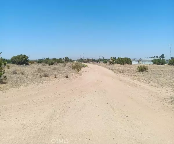 Phelan, CA 92371,0 Yucca Terrace RD