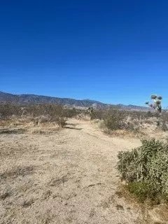 Pinon Hills, CA 92372,0 Pine Tree RD