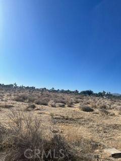 Pinon Hills, CA 92372,0 Pine Tree RD