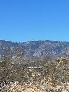 Pinon Hills, CA 92372,0 Pine Tree RD