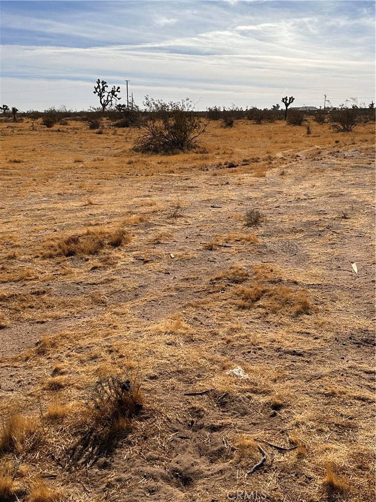 Phelan, CA 92371,12729 Rochester RD
