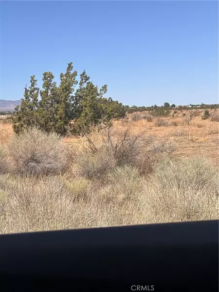 0 Beekley RD, Pinon Hills, CA 92372