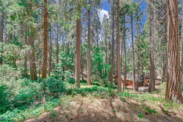 Crestline, CA 92325,590 Electra DR