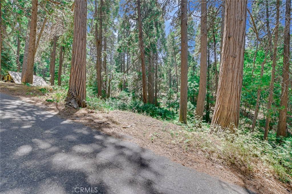 Crestline, CA 92325,590 Electra DR