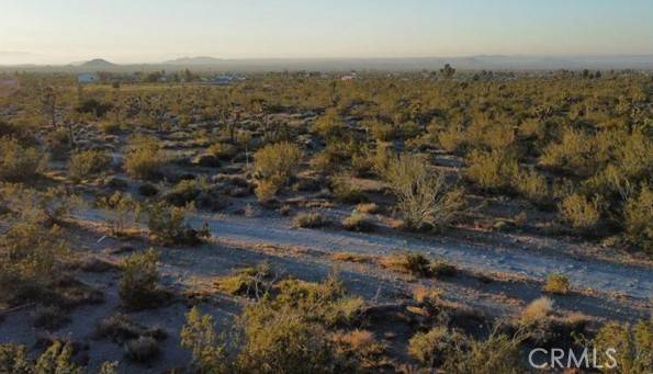 Pinon Hills, CA 92372,0 Calaveras