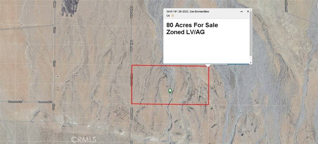 Lucerne Valley, CA 92356,44918128 Dallas AVE