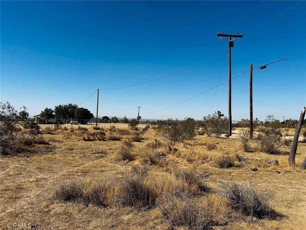 Phelan, CA 92371,0 Acanthus