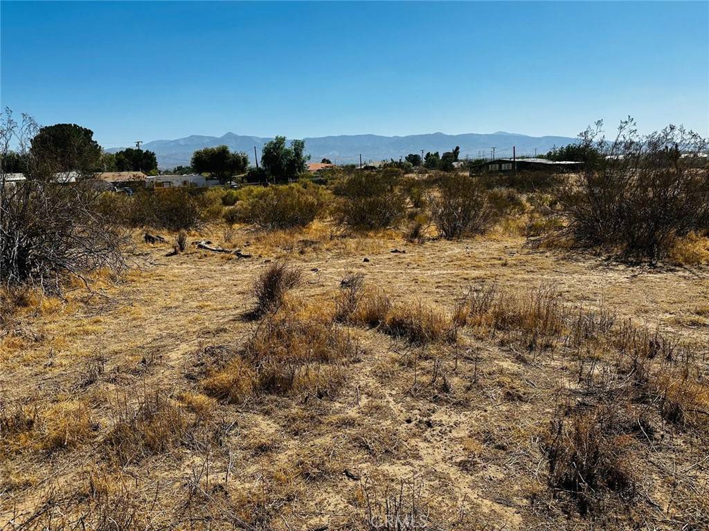 Phelan, CA 92371,0 Acanthus