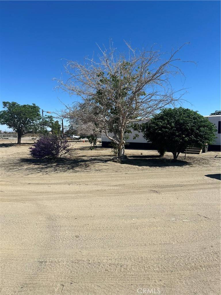 13373 Campanula RD, Phelan, CA 92371