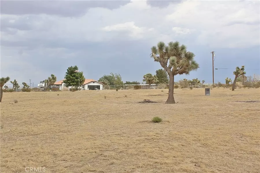 111 La Mirada RD, Phelan, CA 92371