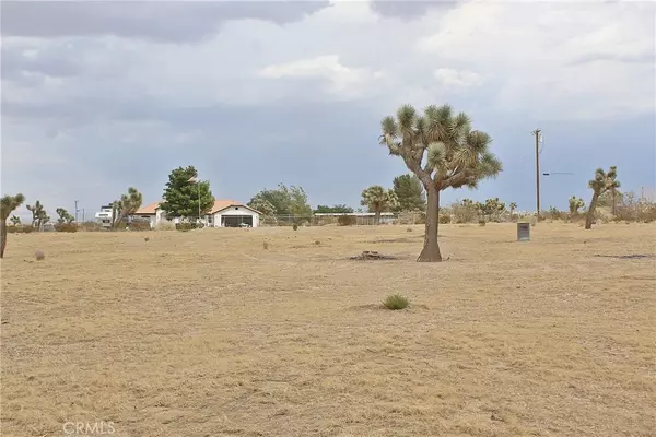 111 La Mirada RD, Phelan, CA 92371