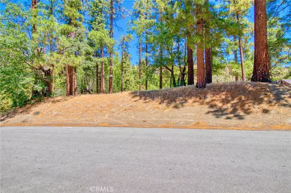 Wrightwood, CA 92397,0 Oriole RD