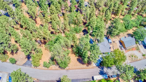 Wrightwood, CA 92397,0 Oriole RD