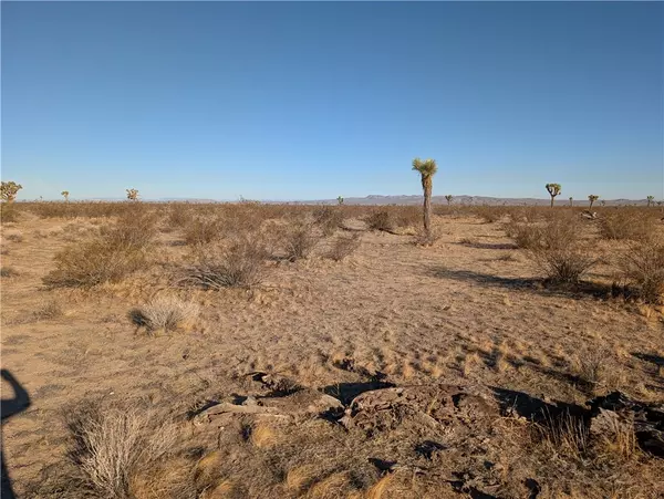 Phelan, CA 92371,0 Wilson Ranch Rd