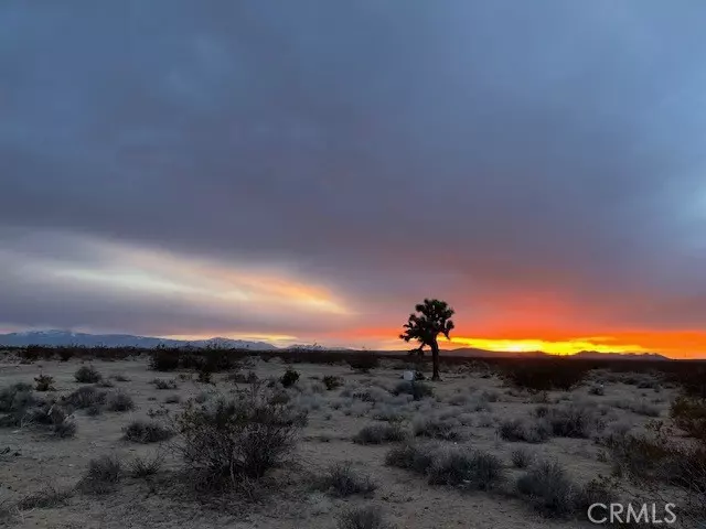 Helendale, CA 92342,0 Jane RD