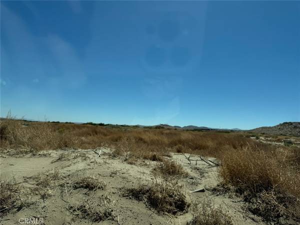 29315 Indian TRL, Helendale, CA 92342