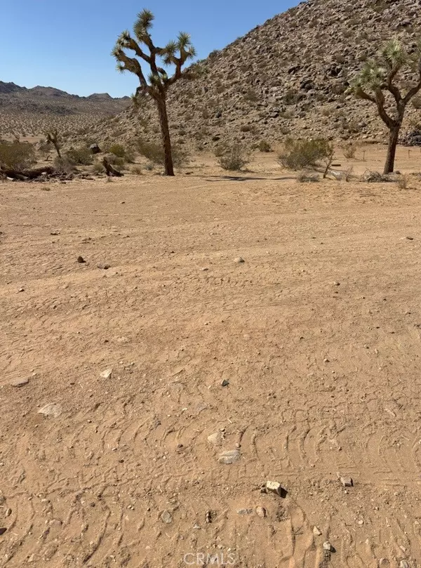 Apple Valley, CA 92307,46401216 15 Fairview Valley RD