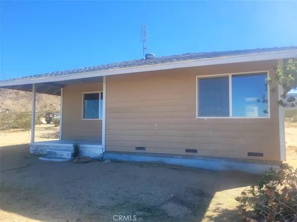 Johnson Valley, CA 92285,50471 Cholla