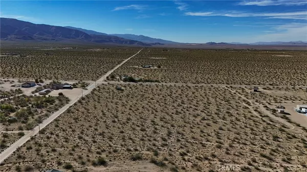 Johnson Valley, CA 92285,779 Quailbush